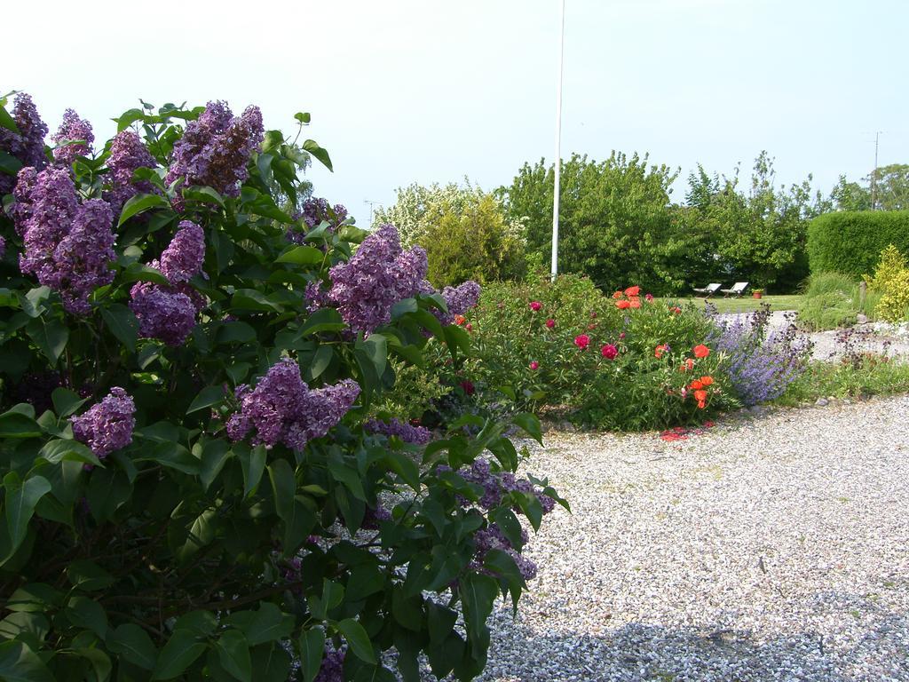 Klintholm B & B Bistro Borre Exterior foto